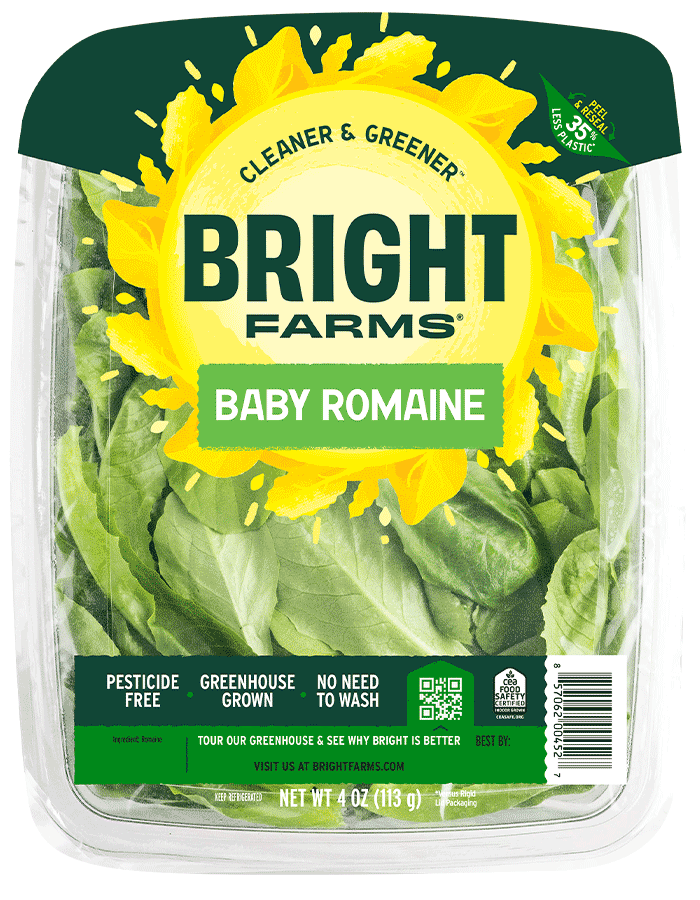 Baby Romaine