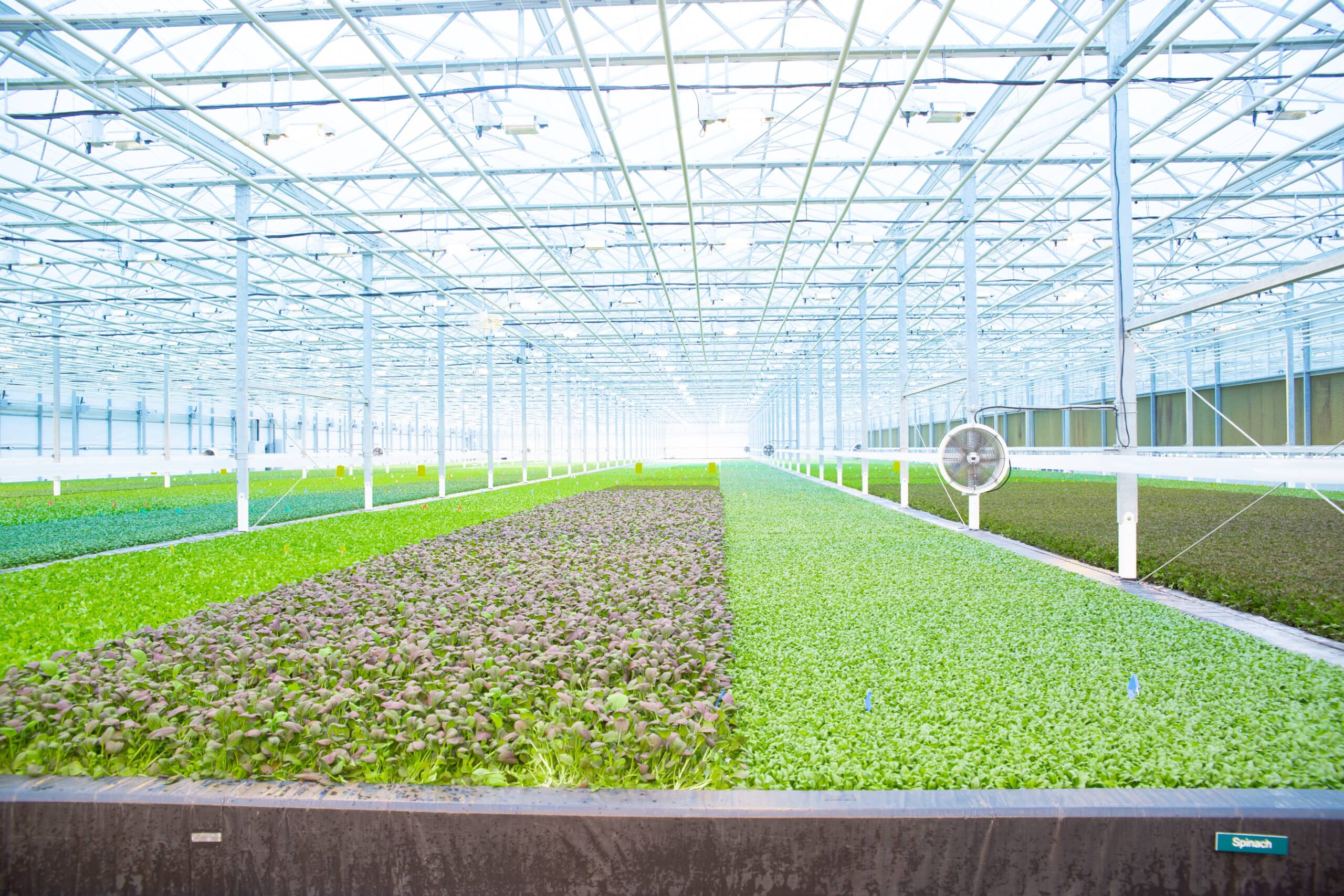 BrightFarms Secures $100 Million Series E Round of Funding to Expand High- Tech Indoor Farming Across the U.S.